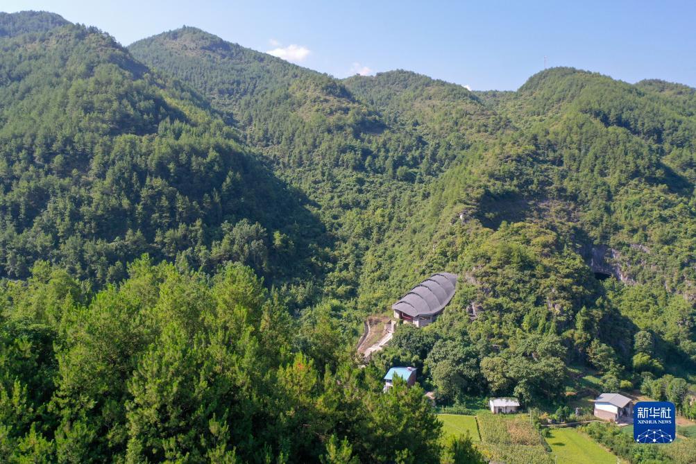 新启旺永久网址